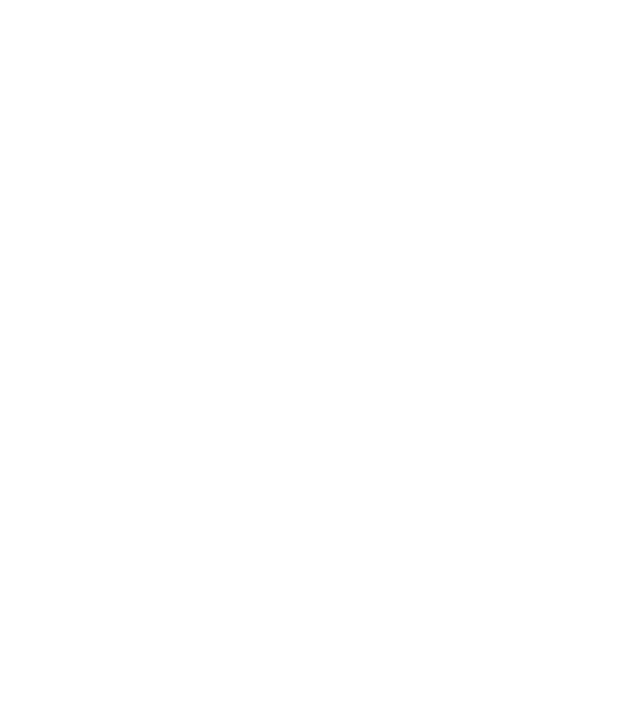 SwingflyUSA